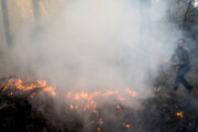 دی‌اکسیدکربن به بروز آتش‌سوزی‌های طبیعی دامن می زند