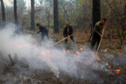 شکارچیان غیرمجاز عامل اصلی آتش سورزی درچمستان نور/ امیدواریم باران ببارد