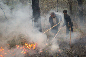 آتش‌سوزی در جنگل‌ها و مراتع شلالدون باشت مهار شد