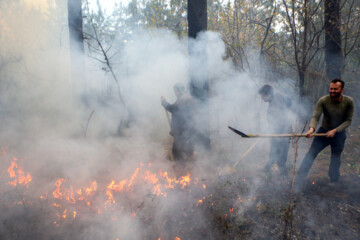 Wildfire at Saravan forests