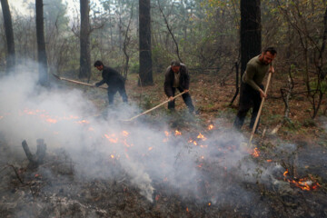 آتش سوزی در جنگل های سراوان