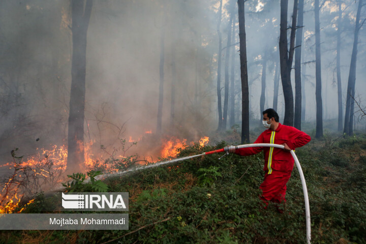 آتش سوزی جنگل‌های نور مازندران پس از ۳۰ ساعت خاموش شد