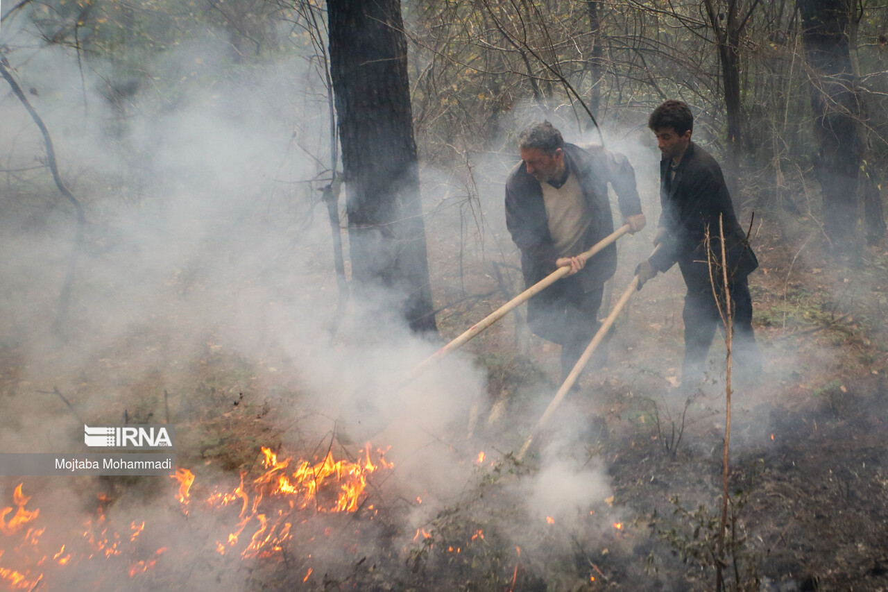 آتش‌سوزی در جنگل‌ها و مراتع شلالدون باشت مهار شد