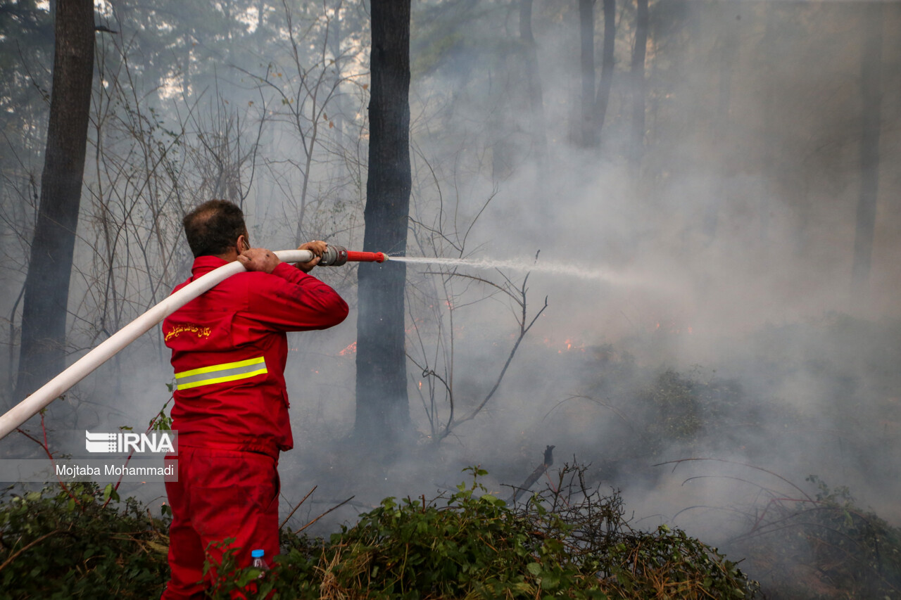 آتش سوزی جنگل های مرزن آباد چالوس خاموش شد