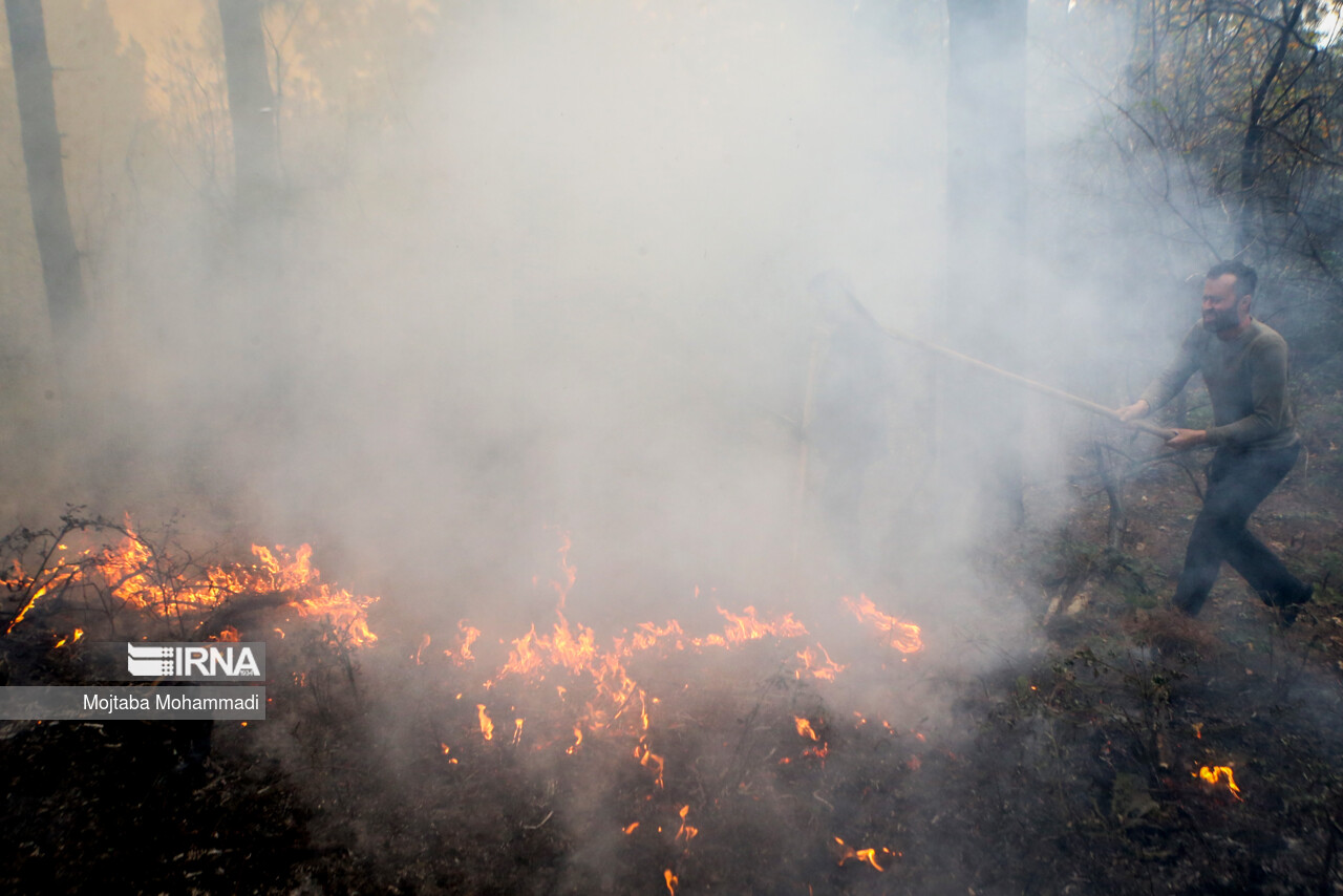 دی‌اکسیدکربن به بروز آتش‌سوزی‌های طبیعی دامن می زند