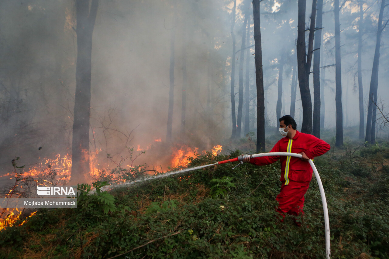 ردپای جویندگان گنج در آتش سوزی جنگل‌های مازندران 