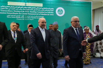 PUIC’s Palestine committee holds meeting in Tehran