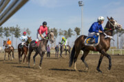 انتظار ۱۷۵ اسب برای تاخت و تاز در کورس گنبدکاووس