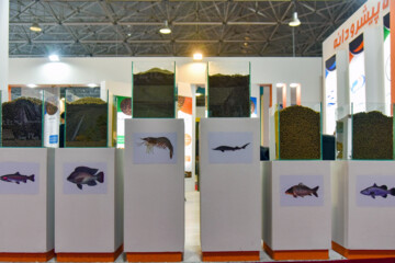 دومین نمایشگاه ملی تخصصی صنایع شیلاتی بوشهر