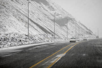 بارش برف در جاده چالوس