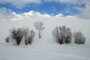 Fuerte nevada en la provincia de Azerbaiyán Oriental