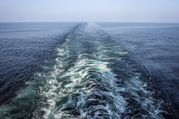 Shipping in the Red Sea