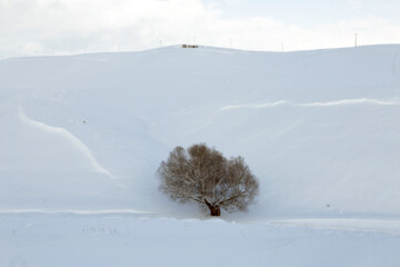 Fuerte nevada en la provincia de Azerbaiyán Oriental