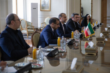 Iran, India FMs meet in Tehran