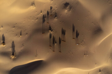 Mesr Desert