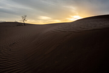 Mesr Desert