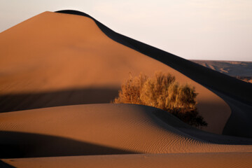 Mesr Desert