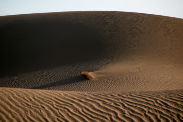 Mesr Desert