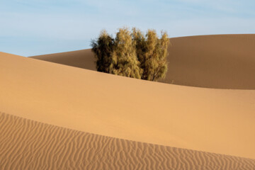 Mesr Desert