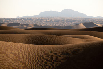 Mesr Desert