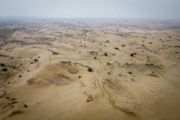 تپه های شنی و ماسه ای یک اکوسیستم کامل با گونه های گیاهی و جانوری منحصر به فرد و کمیاب مانند آگامای سروزغی،اسکینک ماهی شن زار، مار شاخدار عربی و آهوی شنی است که گونه ها و زندگی آن ها به شن و شنزار وابسته است.