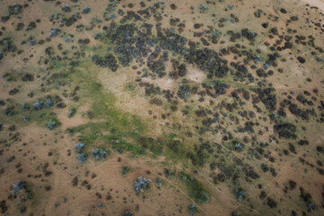 طبق گفت منابع طبیعی این منطقه در پایان سال ۹۸ مالچ پاشی شد که به دلیل نصفه کار ماندن بعد از چند سال شاهد پیشروی تپه های ماسه ایی بروی بافت سبز آن هستیم.