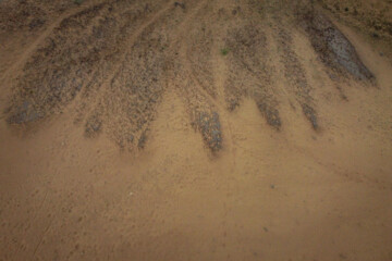 برخی کارشناسان محیط زیست حرکت تپه های شنیرا نهایتا ۱ تا ۲ متر در سال می دانند و به همین علت معتقد هستند نیاز به مالچ پاشی ندارند.