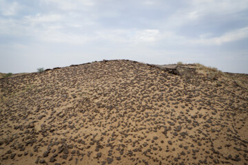 از نظر فعالان محیط زیست مالچ پاشی نتایج رضایت بخشی در شرایط سخت بیابانی نداشته، به طوری که بیشتر آنها در ماه های ابتدایی در مقابل تابش آفتاب و وزش باد از بین میروند.