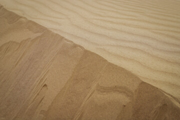 فعالان محیط زیست می گویند که تپه ها اکوسیستم خاص خود را دارند و نیازی به مالچ و کاشت درختانی چون کهور نیست و مالچ پاشی سبب خسارت به موجودات زنده گیاهی و جانوری بومی منطقه، افزایش دمای سطحی خاک، کاهش نفوذپذیری آب در خاک و در نتیجه افزایش هدررفت آب در اثر تبخیر سطحی خواهد شد.