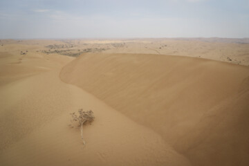 برخی کارشناسان محیط زیست حرکت تپه های شنی را نهایتا ۱ تا ۲ متر در سال می دانند و به همین علت معتقد هستند نیاز به مالچ پاشی ندارند.