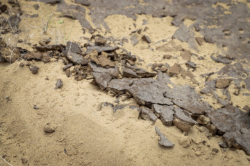 از نظر فعالان محیط زیست مالچ پاشی نتایج رضایت بخشی در شرایط سخت بیابانی نداشته، به طوری که بیشتر آنها در ماه های ابتدایی در مقابل تابش آفتاب و وزش باد از بین میروند.