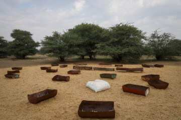 تپه های شنی که بعد از مالچ پاشی در چند دهه و کاشت نهال اکنون به مرتع های سرسبز تبدیل شده اند. توسعه دام داری ومرتع برای چرای دام از نقاط مثبت مالچ پاشی است که منابع طبیعی بر روی آن تاکید دارد. کارشناسان بیابان زدایی می گویند مالچ پاشی و نهال کاری باعث تثبیت ماسه های روان، افزایش تولید علوفه در هکتار و توسعه دامداری میگردد.