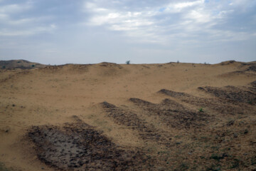 فعالان محیط زیست می گویند که تپه ها اکوسیستم خاص خود را دارند و نیازی به مالچ و کاشت درختانی چون کهور نیست و مالچ پاشی سبب خسارت به موجودات زنده گیاهی و جانوری بومی منطقه، افزایش دمای سطحی خاک، کاهش نفوذپذیری آب در خاک و در نتیجه افزایش هدررفت آب در اثر تبخیر سطحی خواهد شد.