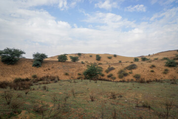طبق گفت منابع طبیعی این منطقه در پایان سال ۹۸ مالچ پاشی شد که به دلیل نصفه کار ماندن بعد از چند سال شاهد پیشروی تپه های ماسه ایی بروی بافت سبز آن هستیم.