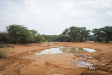 طرح انتقال اب شیرین خط غدیر از جمله تاسیسات مهمی است که از تپه های شنی سابق که اکنون تبدیل به جنگل دست کاشت شده، عبور می کند، منابع طبیعی می گوید اگر اینجا بیابان می ماند دولت باید چندین برابر برای این تاسیسات هزینه می کرد.