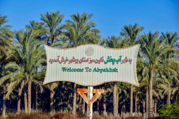 نخلستان «آبپخش» طولانيترين جاده نخلستانی جنوب كشور