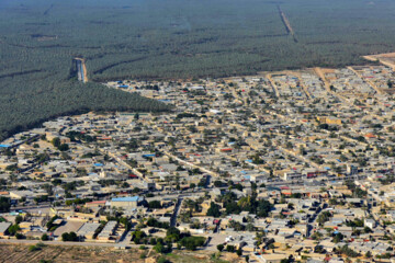 نخلستان «آبپخش» طولانيترين جاده نخلستانی جنوب كشور