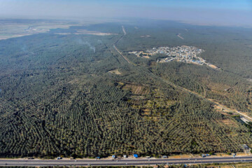 نخلستان «آبپخش» طولانيترين جاده نخلستانی جنوب كشور