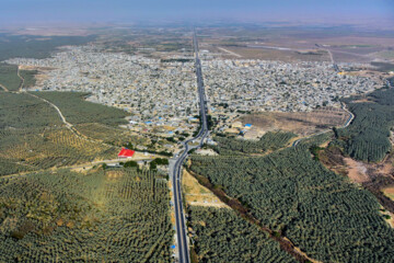 نخلستان «آبپخش» طولانيترين جاده نخلستانی جنوب كشور