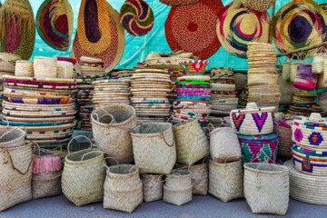 نخلستان «آبپخش» طولانيترين جاده نخلستانی جنوب كشور