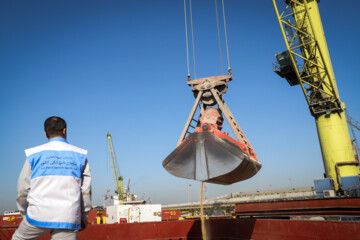 Animal feed Cargo unloaded at southern Iranian port
