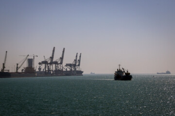 Animal feed Cargo unloaded at southern Iranian port