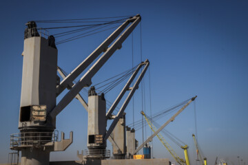 Animal feed Cargo unloaded at southern Iranian port