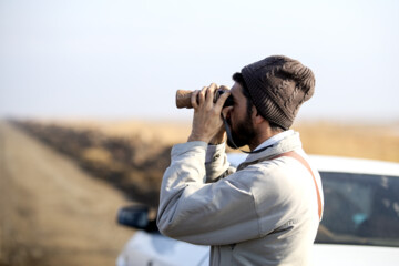 Recensement des oiseaux migrateurs dans la zone humide de Morré à Qom 