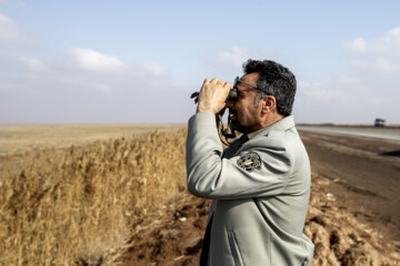 Recensement des oiseaux migrateurs dans la zone humide de Morré à Qom 