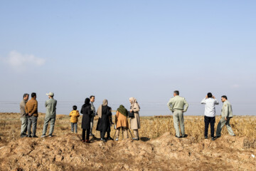 Recensement des oiseaux migrateurs dans la zone humide de Morré à Qom 