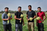 مشکلات مزارع گردشگری گلستان برای مشارکت در تولید؛ سایه سنگین کاغذبازی