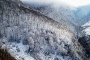 Winternatur der Provinz Golestan
