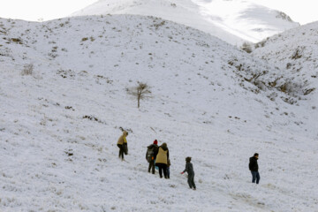 تفریح در دامنه کوه آبیدر در سنندج استان کردستان فصل زمستان برف و یخ بارش برف برف بازی تفریحات زمستانی نشاط تفریح گذران اوقات فراغت