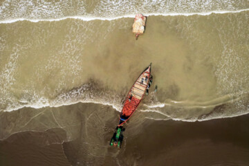 ۱۲ هزار مجوز صیادی در منطقه هرمزگان صادر شده است